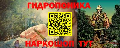 стаф Рязань